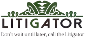 litigatorhelp
