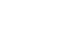 rizinjurylaw