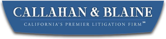 insurance litigation